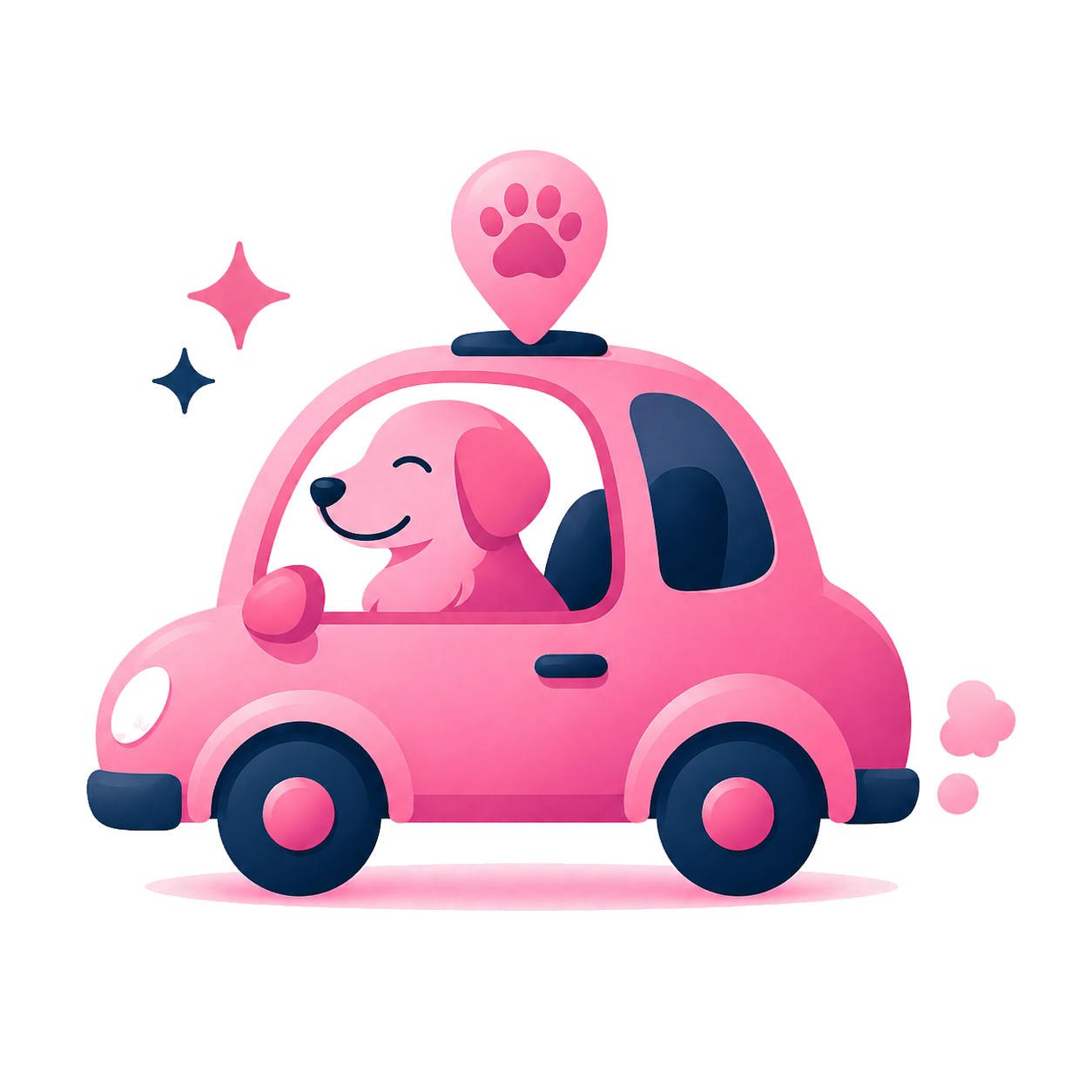 Táxi Pet